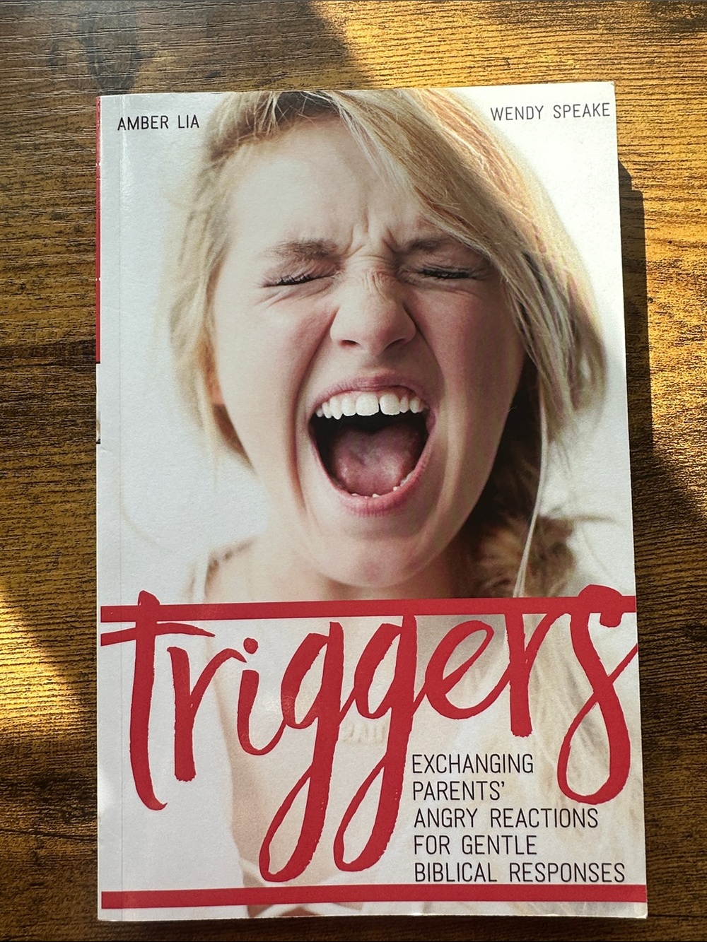Triggers by Amber Lia & Wendy Speake -  Paperback